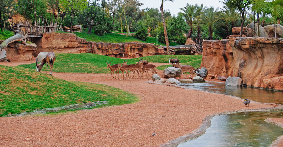 Достопримечательности на карте валенсии