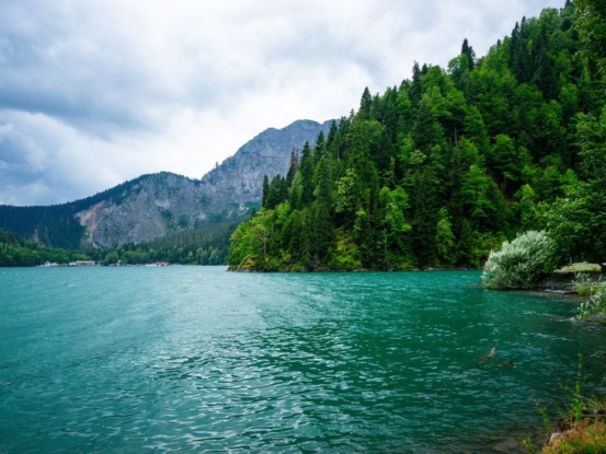 Самара гагра на машине