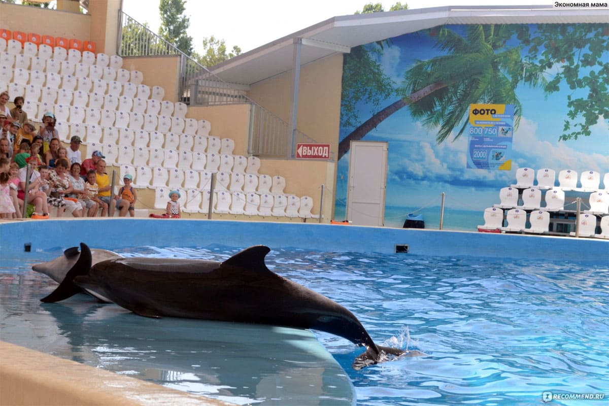Дельфинарий