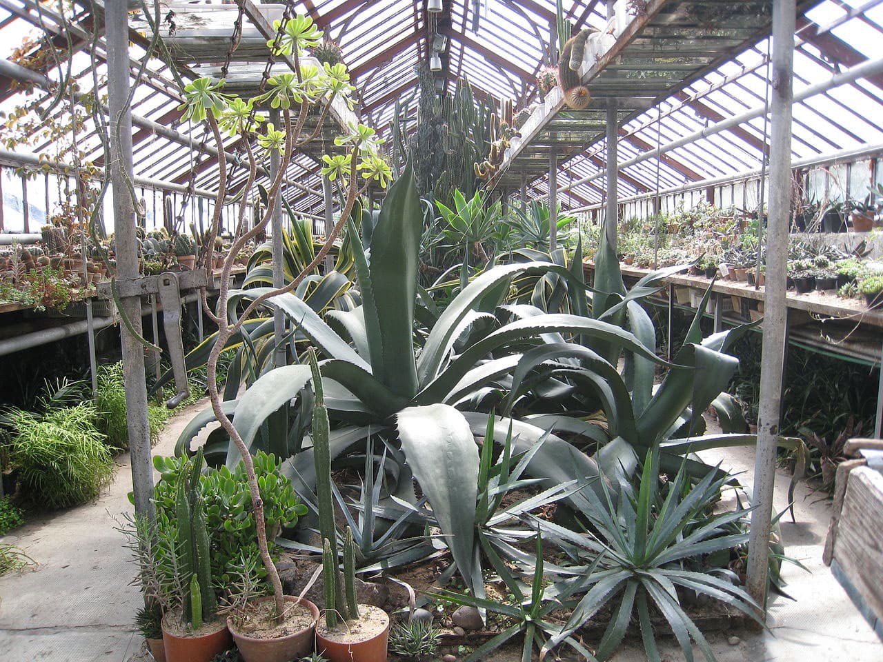 Ботанический сад