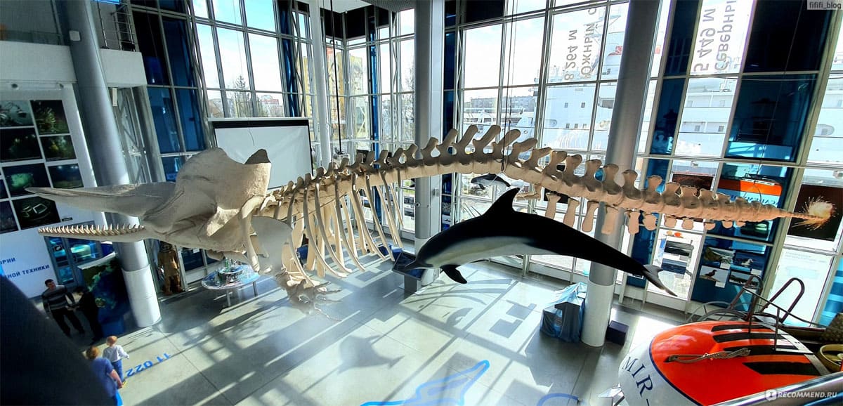 музей внутри