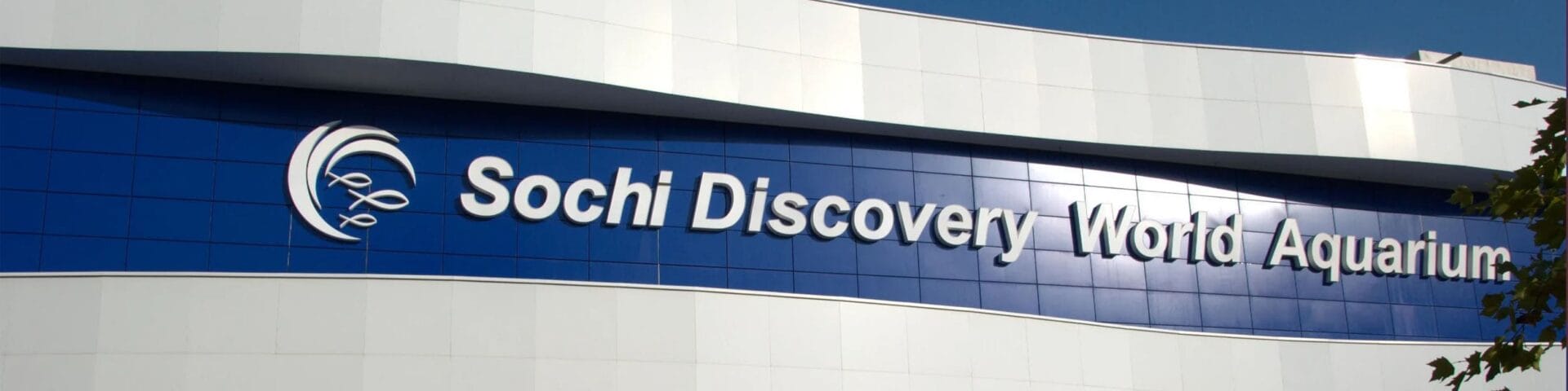 Аквариум в Сочи